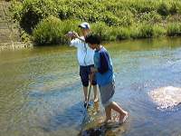 川の生き物調査3