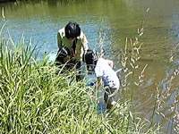 川の生き物調査7