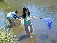 川の生き物調査8