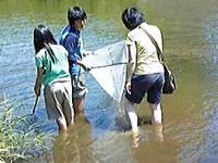 川の生き物調査9