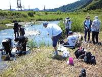 川の生き物調査10