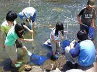 川の生き物調査12