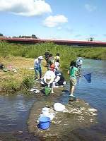 川の生き物調査14