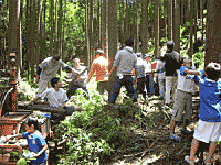 山での原木組み