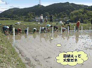 田植えって大変だな