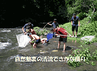 自然塾裏の清流でさかな捕り