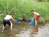 川の生き物調査1