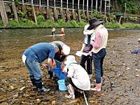 川の生き物調査8